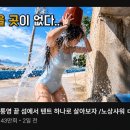 ㅇㅎ) 유튜브 썸네일로 조회수 폭등한 영상 이미지