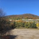 중앙승가대학교 이미지