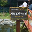 백두식품 이미지