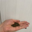 율하우리한의원 이미지