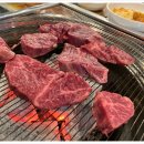 참토우 이미지