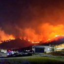 동해-단속-50 이미지