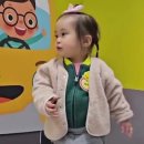 꿈나무교통나라 이미지
