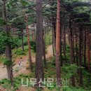 산림청 국립자연휴양림관리소 이미지