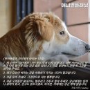 남자만들기 네이버블로그