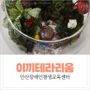한국지체장애인협회 앞 | 장애인평생학습센터 4회기 원예수업｜흙·돌·이끼로 만드는 나만의 테라리움