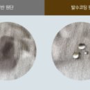 코지마강원총판 이미지