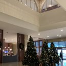 (주)엑스코 | W1. 웨딩홀 투어_대구 인터불고 엑스코 그랑파티오 계약 후기