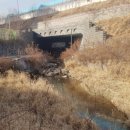 아래쇠죽골천 네이버블로그