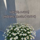 화목사 이미지