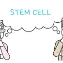 제노스템 이미지