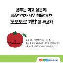 포모도로 이미지