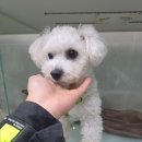 군산시-01301 이미지