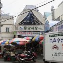 11650-17-147-4 | 강원도 속초 여행 가볼만한곳 3박 4일 코스 3-4일차 추천 - 속초중앙시장 / 속초거북이 / 오뎅당...