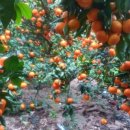 재원민박 이미지