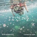 신기트래블 | [푸꾸옥 여행] 푸꾸옥 혼똔섬 스노클링 호핑투어+스냅촬영까지 한 번에! '코코넛트래블' 솔직후기