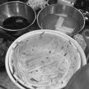 명미애견 이미지