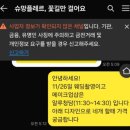 슈망플레르 이미지