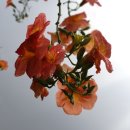 한밭수목원 서원 이미지