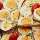 에그2000(EGG2000) 나주혁신점 | 삶은계란 냉동보관 완벽 가이드 | 정말 안전할까? 전문가가 알려주는 모든 것
