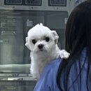 연향동물병원 이미지