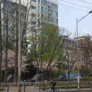 장수공원 이미지