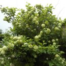 예동마을회관 이미지