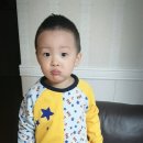 엉뚱발랄 이미지