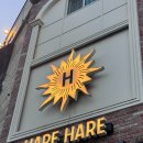 원도안로-4 | [대전 빵지순례] 하레하레 명장이 굽는 진정한 '빵의 본질' (위치/메뉴 추천/솔직후기)