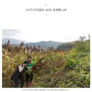 슬로시티수산협동조합 | &#34;슬로시티수산협동조합&#34; 맘스캠프 응원댓글 이벤트 / 온택트 여성 CEO마켓💚