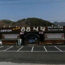숙이네88식당 이미지