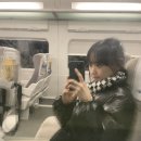 스텔라떡볶이전남목포 이미지