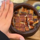 고려보신탕 | 양산도 분당정자점 | 내돈내산 장어덮밥 체인 양산도 방문 후기