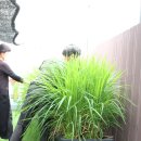 솔향기어린이집 이미지