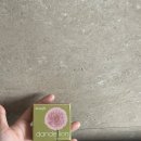 단델리온 | 베네피트 단델리온 블러셔 내돈내산 면세점 가격 발색 후기