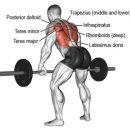 락 바디 짐 이미지