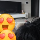 커피니전주평화점 | [일상] 3월 넷째 주(3.18~3.25)