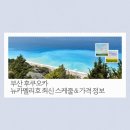 부산 후쿠오카 배편 비교! 뉴카멜리호 최신 스케줄 &amp; 가격 정보