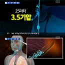 세월호 민간 잠수사 사망 원인 기뇌증, 박근혜 법요식 세월호 사과 이미지