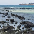 미스토리의원 이미지