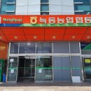 연홍도 | 고흥 숙소 거금도 진선장 민박 / 지붕없는 미술관 연홍도 여행후기