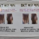 화이트헤어샾 이미지