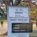 서원 | [대구 은행나무 명소] 수령 440살 된 은행나무가 있는 도동서원 방문후기