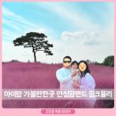 안성농협 본점(안성농업협동조합) | 가을 아이랑 가볼만한곳 안성 팜랜드 핑크뮬리 명소 할인 맛집