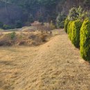 선창할아버지 이미지