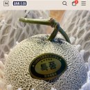 써봐조아 이미지