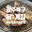 [광주] 숯불닭구이전문점 , 닭계집 (feat.꼬끼오 :D)