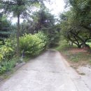 경안사슴농장 이미지