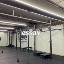 [군포] 크로스핏 중심 한 달 후기, 체력 거지 탈출기