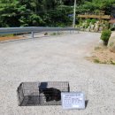 통영동물병원 이미지